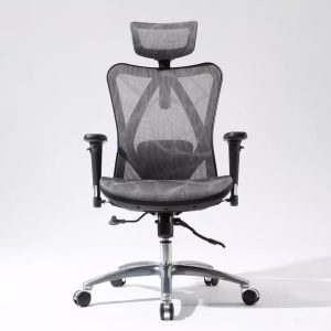 EMC01, Sihoo M57, Ergonomic Chair, Adult Chair, Office Chair